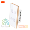 Công Tắc Zigbee Viền Kim Loại Nút Bấm Lõm Hình Chữ Nhật Tuya SHP-ZLUS