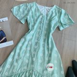  Janny Dress 