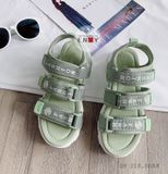  Sandal Hoa Cúc 