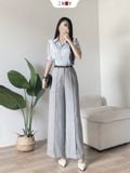  Quần Tây Basic ENVY 