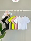  Áo Thun Trơn Croptop 