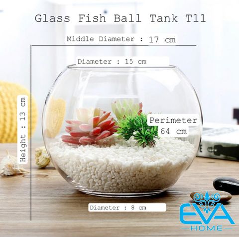  Chậu Thuỷ Tinh Dùng Làm Hồ Cá Bể Cá Để Bàn Dáng Tròn Bầu T11  Round Glass Aquarium Size 17 x 13 Cm 