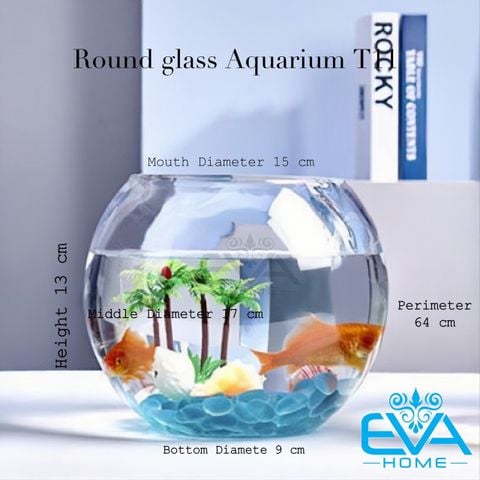  Chậu Thuỷ Tinh Dùng Làm Hồ Cá Bể Cá Để Bàn Dáng Tròn Bầu T11  Round Glass Aquarium Size 17 x 13 Cm 