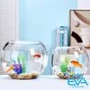 Chậu Thuỷ Tinh Dùng Làm Hồ Cá Bể Cá Để Bàn Dáng Tròn Bầu T11  Round Glass Aquarium Size 17 x 13 Cm