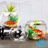 Chậu Thuỷ Tinh Dùng Làm Hồ Cá Bể Cá Để Bàn Dáng Tròn Bầu T11  Round Glass Aquarium Size 17 x 13 Cm