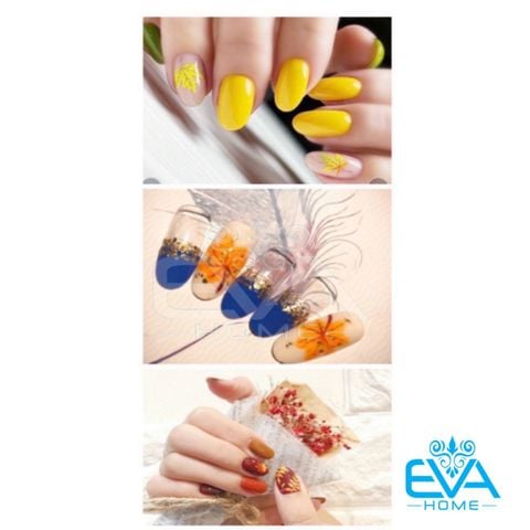  Decal Dán Móng Tay 3D Nail Sticker Hoạ Tiết Lá Mùa Thu Autumn Leaves WG347 