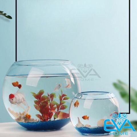  Chậu Thuỷ Tinh Dùng Làm Hồ Cá Bể Cá Để Bàn Dáng Tròn Bầu T01  Round Glass Aquarium Size 14 x 12 Cm 