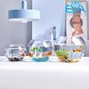 Chậu Thuỷ Tinh Dùng Làm Hồ Cá Bể Cá Để Bàn Dáng Tròn Bầu T02  Round Glass Aquarium Size 24 x 16 Cm