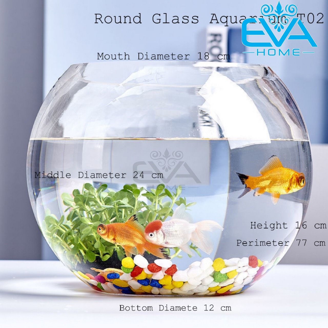 Chậu Thuỷ Tinh Dùng Làm Hồ Cá Bể Cá Để Bàn Dáng Tròn Bầu T02  Round Glass Aquarium Size 24 x 16 Cm