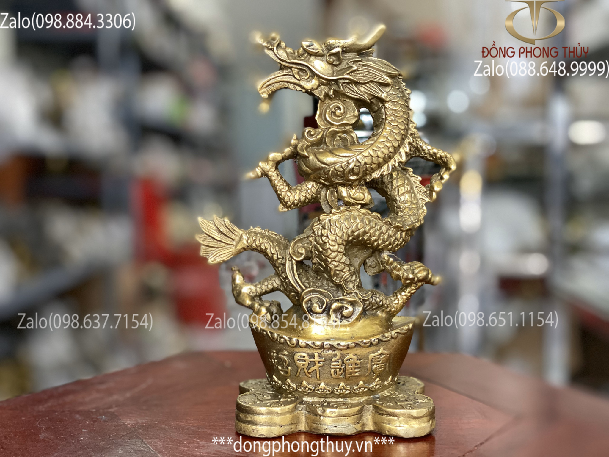 tượng rồng hũ tiền
