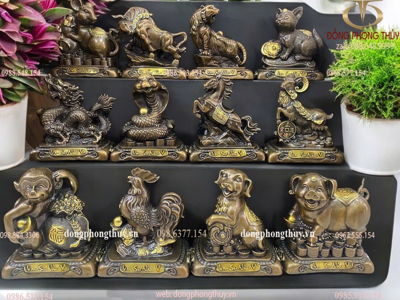 Hình ảnh sản phẩm