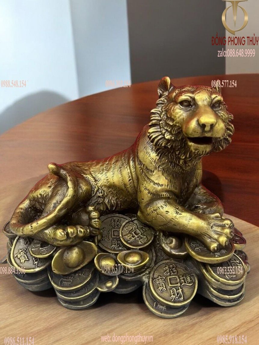 Hình ảnh sản phẩm