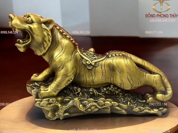 Tượng hổ phong thuỷ đế tùng lưng dây tiền