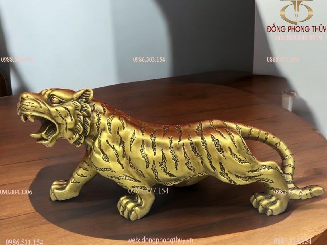 Hình ảnh sản phẩm