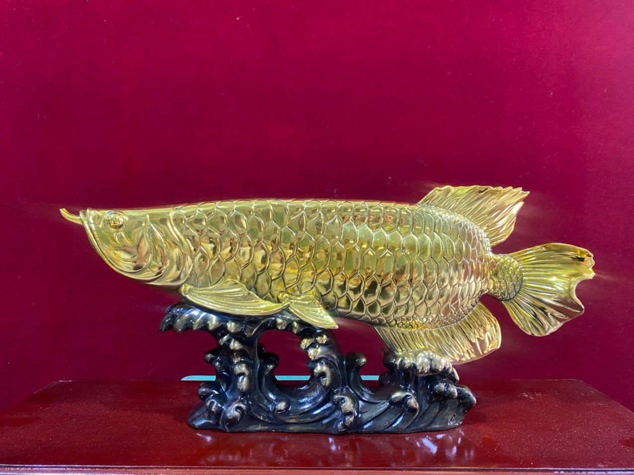 Cá rồng cao 17 dài 38 nặng 4 kg