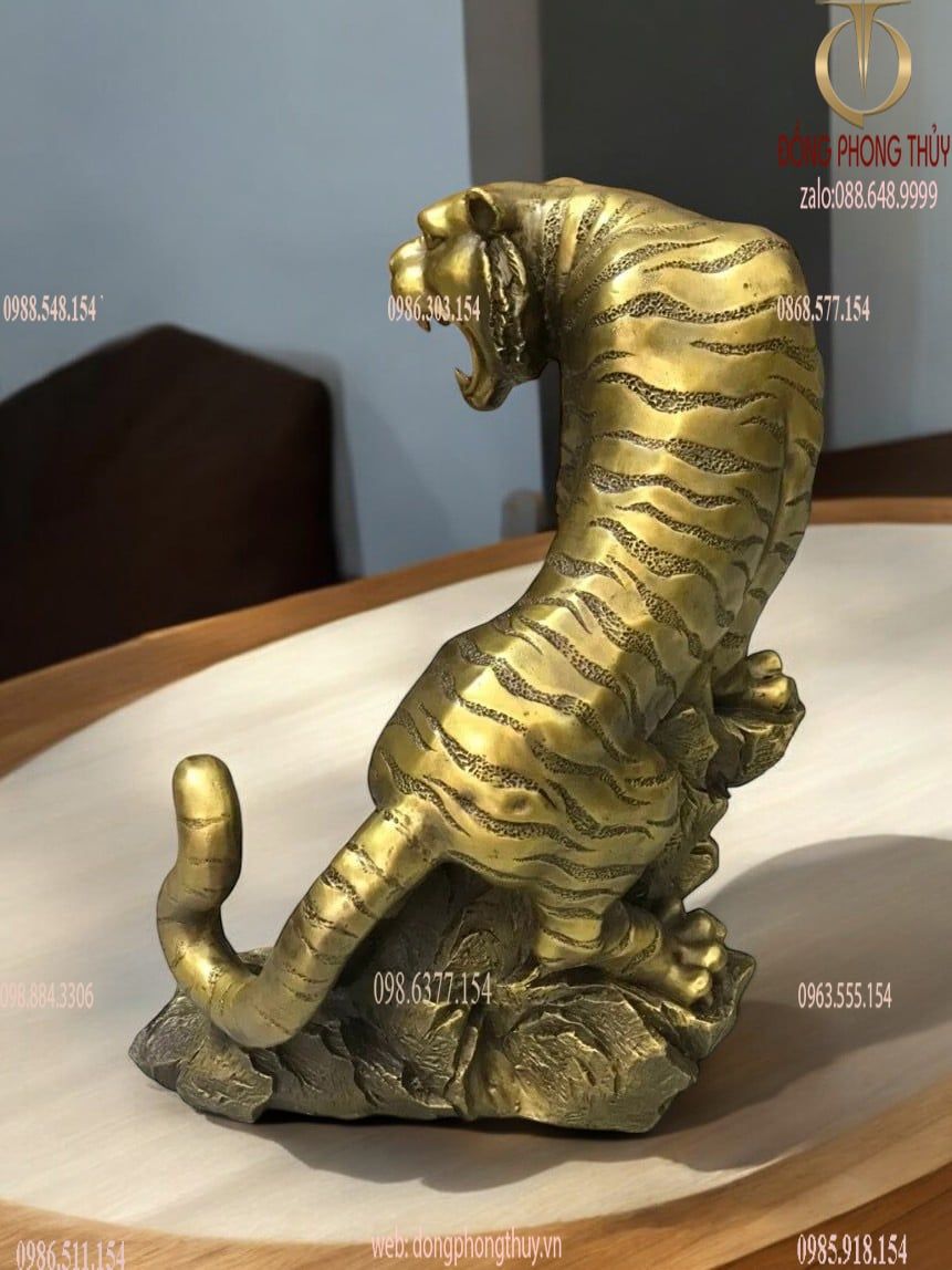 Hình ảnh sản phẩm