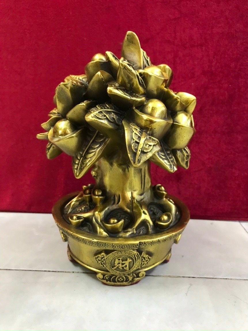 Cây tiền tài lộc