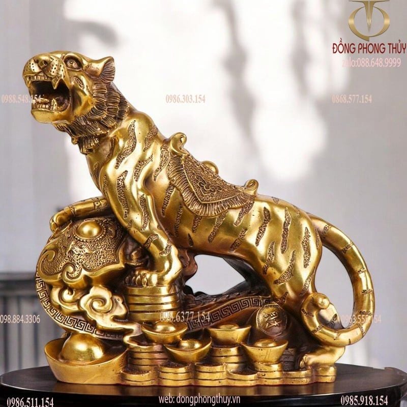 Hình ảnh sản phẩm