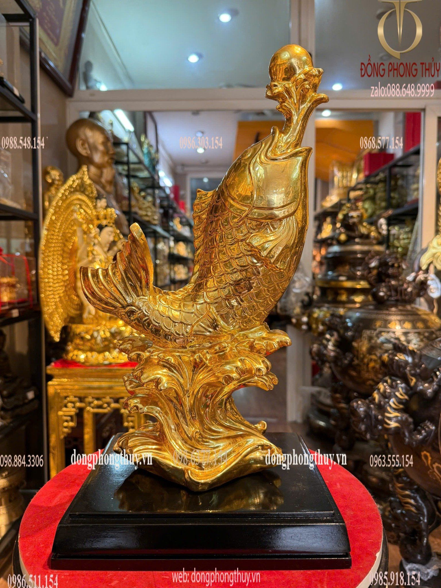 Hình ảnh sản phẩm