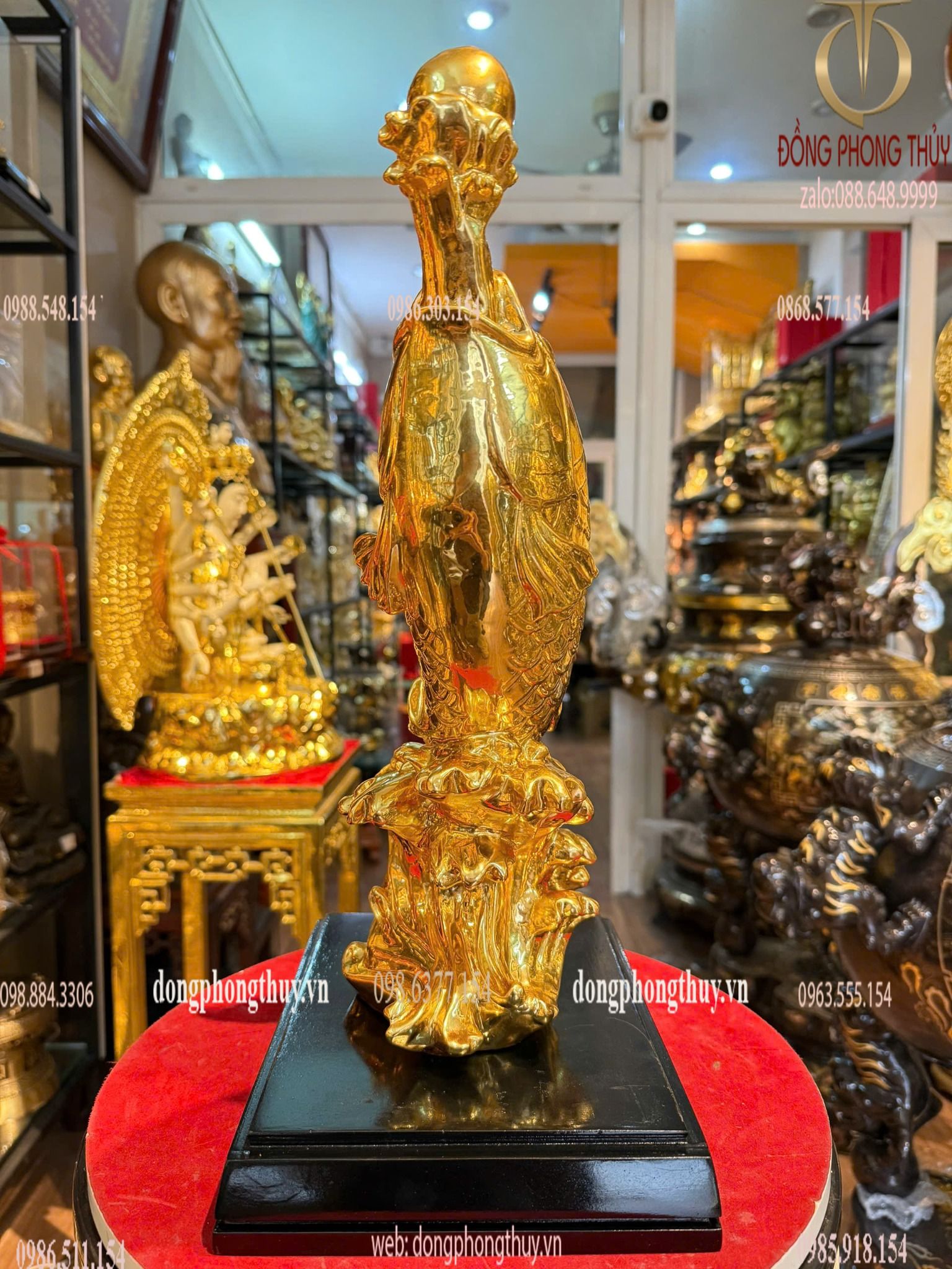 Hình ảnh sản phẩm