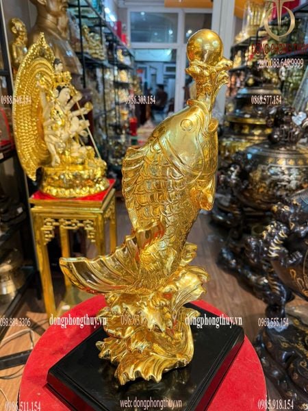 Cá chép hóa rồng bằng đồng dát vàng 24k Cao 39 ngang 15 sâu 13 nặng 3,9kg