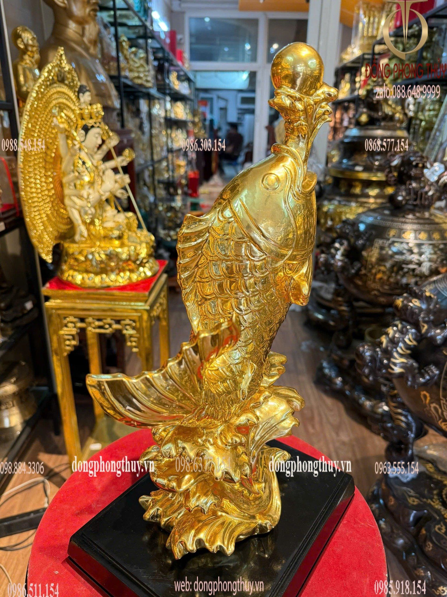 Hình ảnh sản phẩm