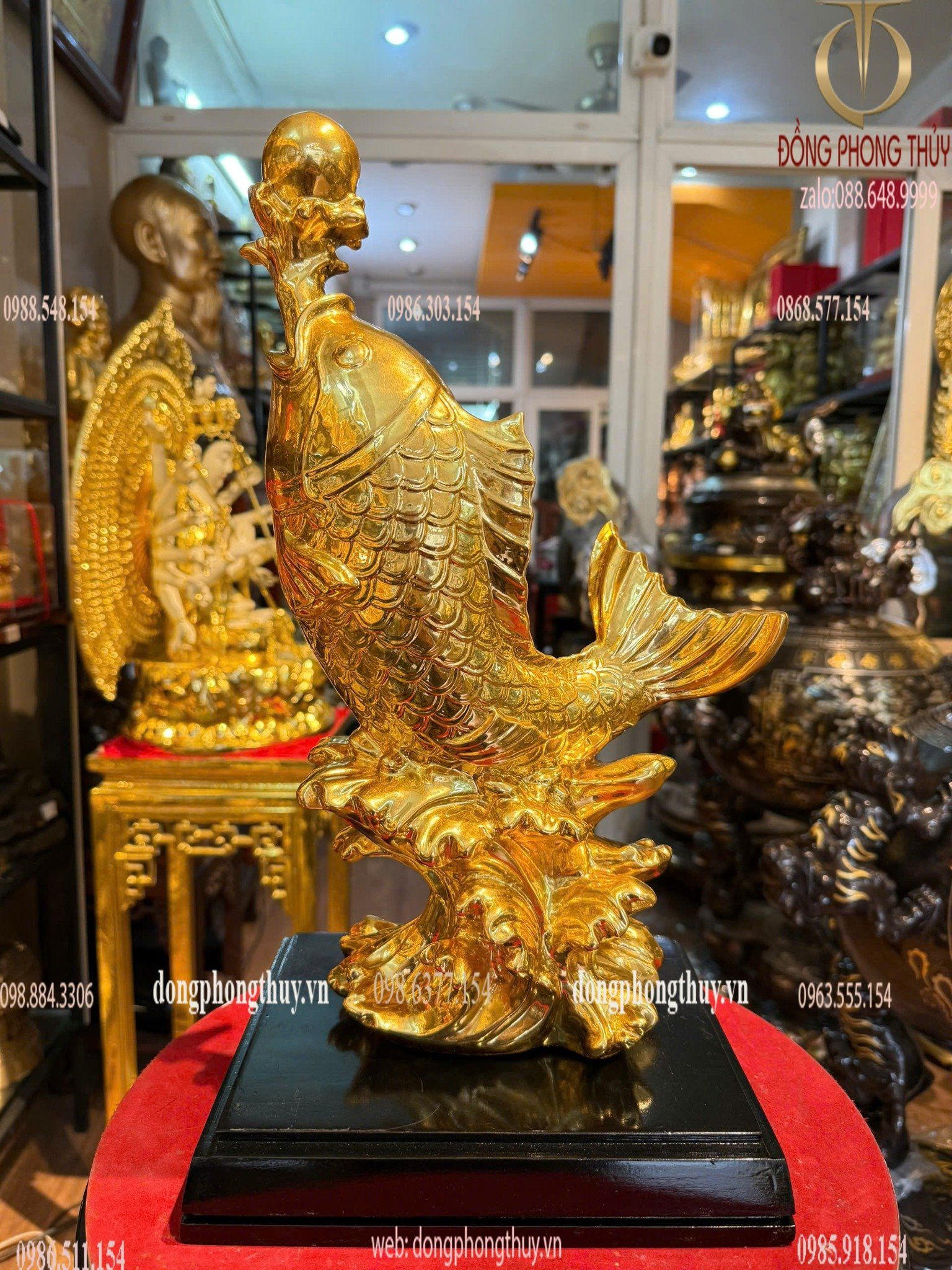 Hình ảnh sản phẩm