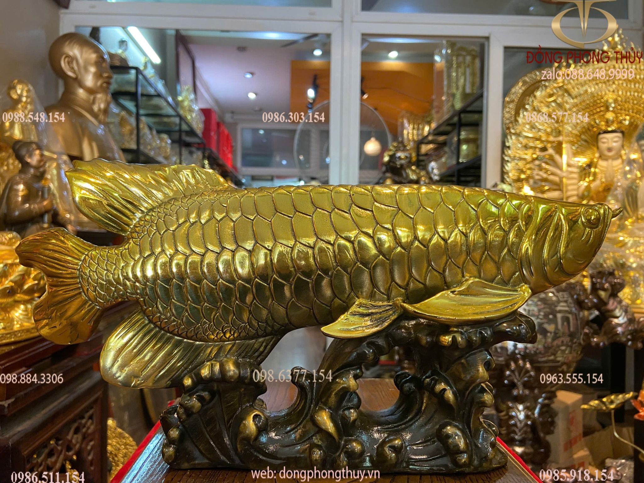 cá rồng cao bằng đồng