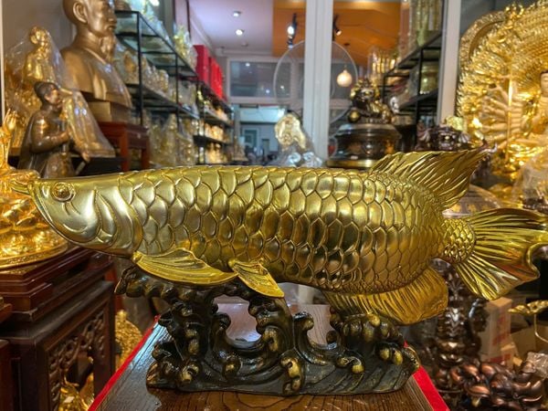Cá rồng cao bằng đồng 17 dài 38 nặng 4 kg