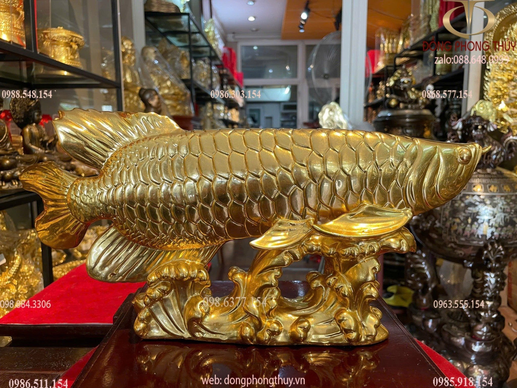 Hình ảnh sản phẩm