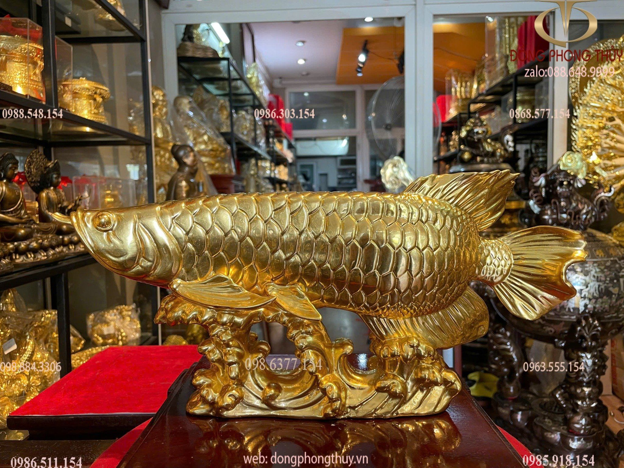 Hình ảnh sản phẩm