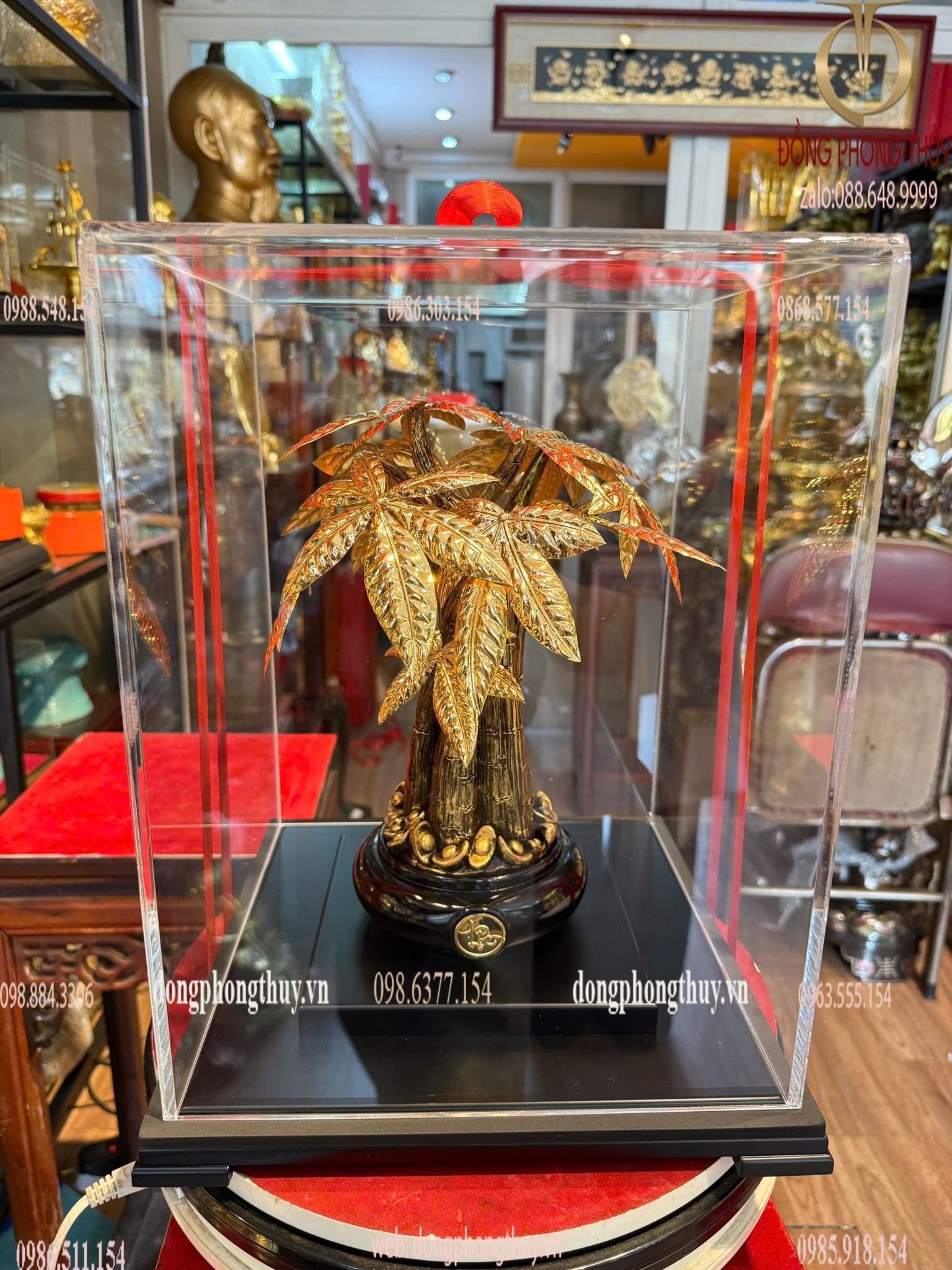 Hình ảnh sản phẩm