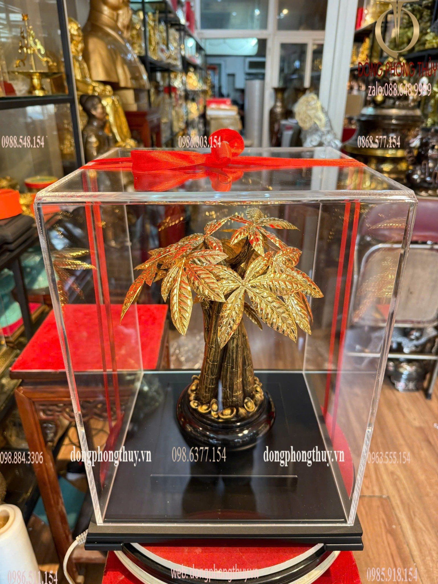 Hình ảnh sản phẩm