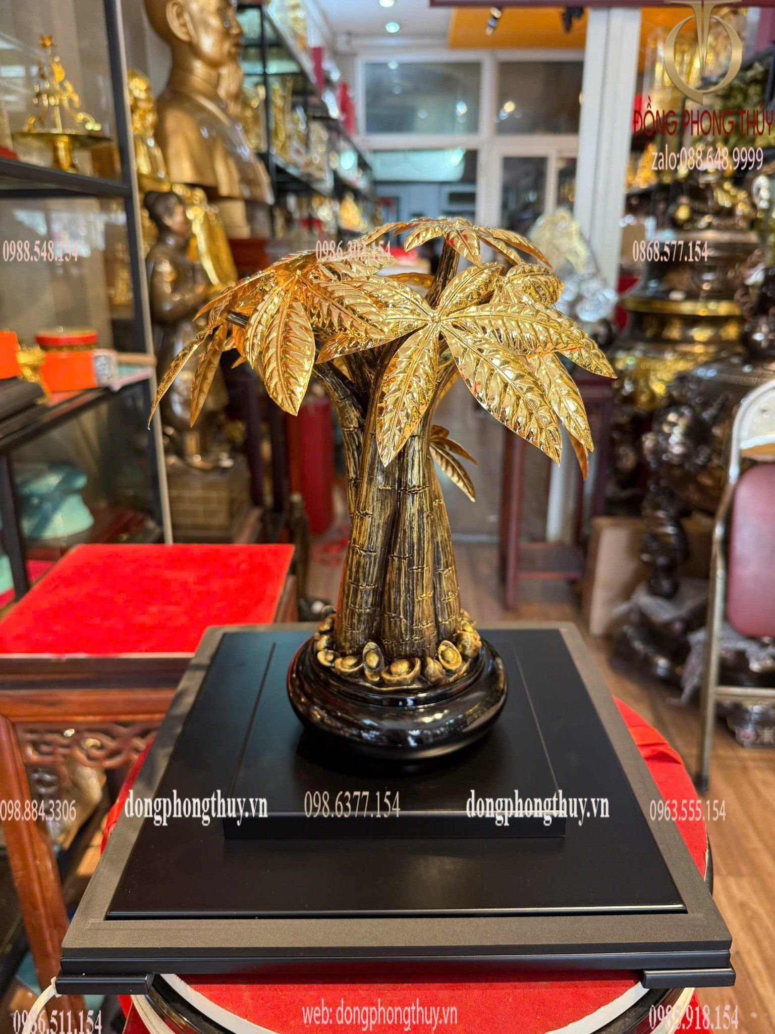 Hình ảnh sản phẩm