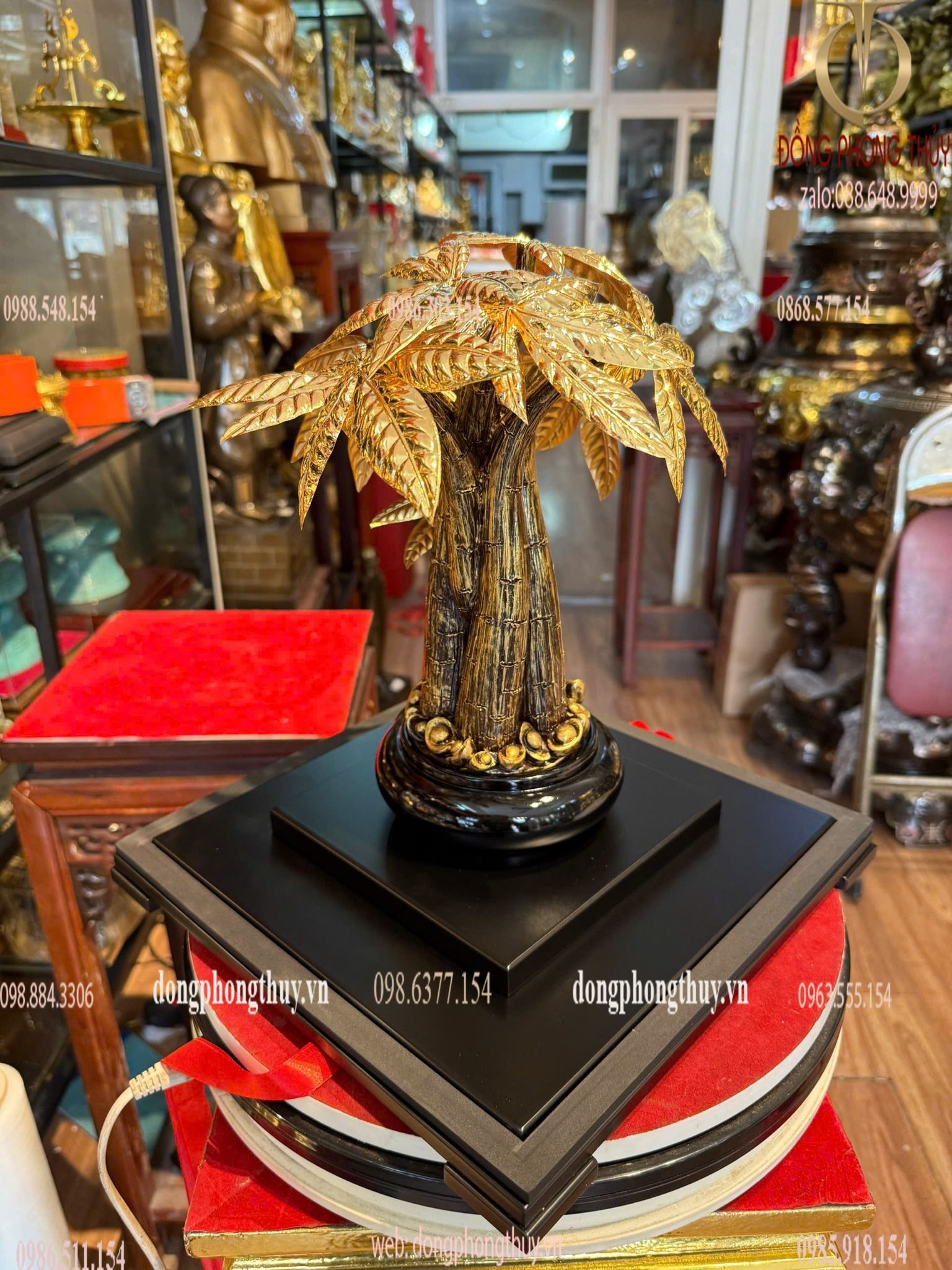 Hình ảnh sản phẩm
