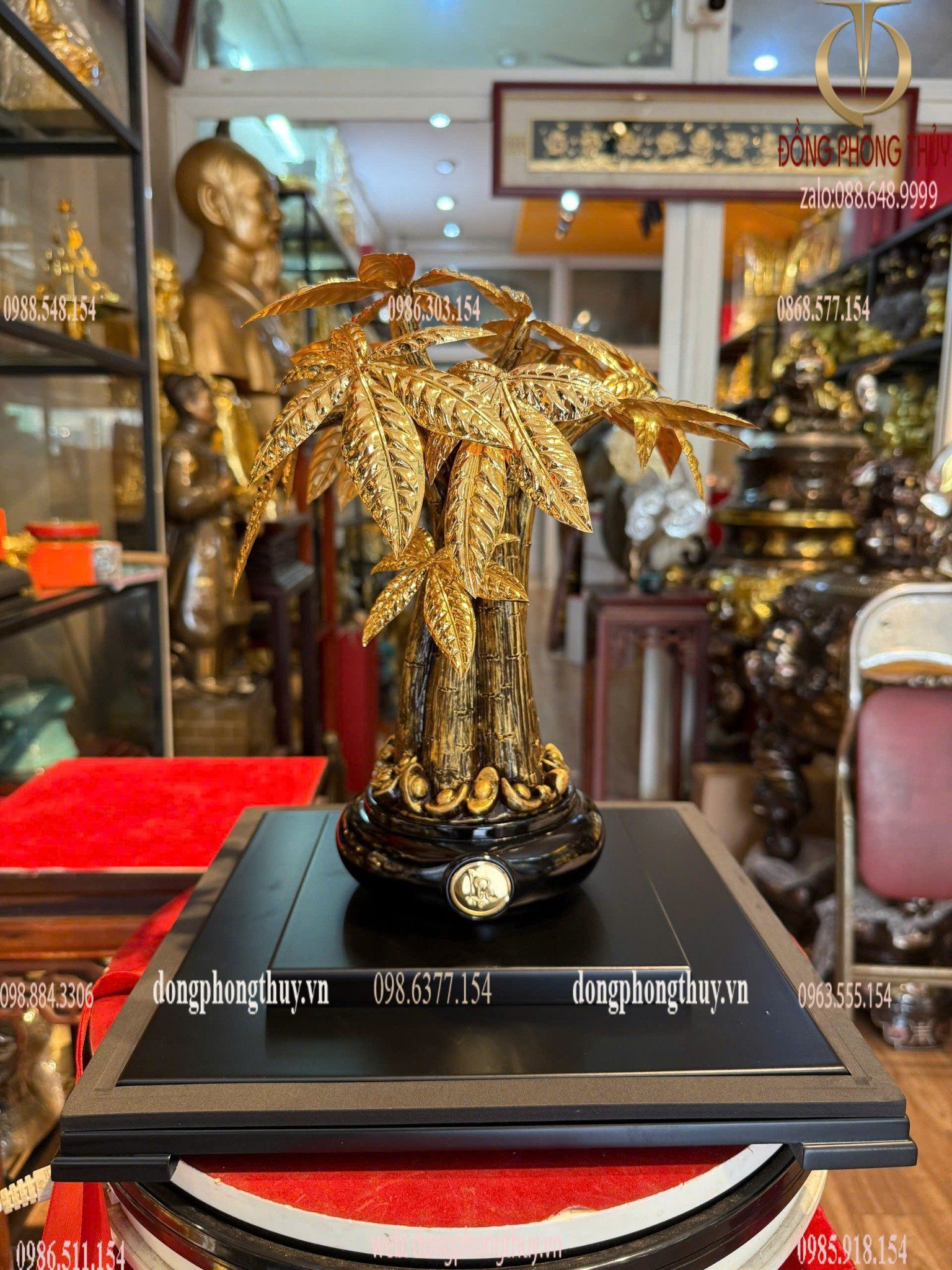 Hình ảnh sản phẩm