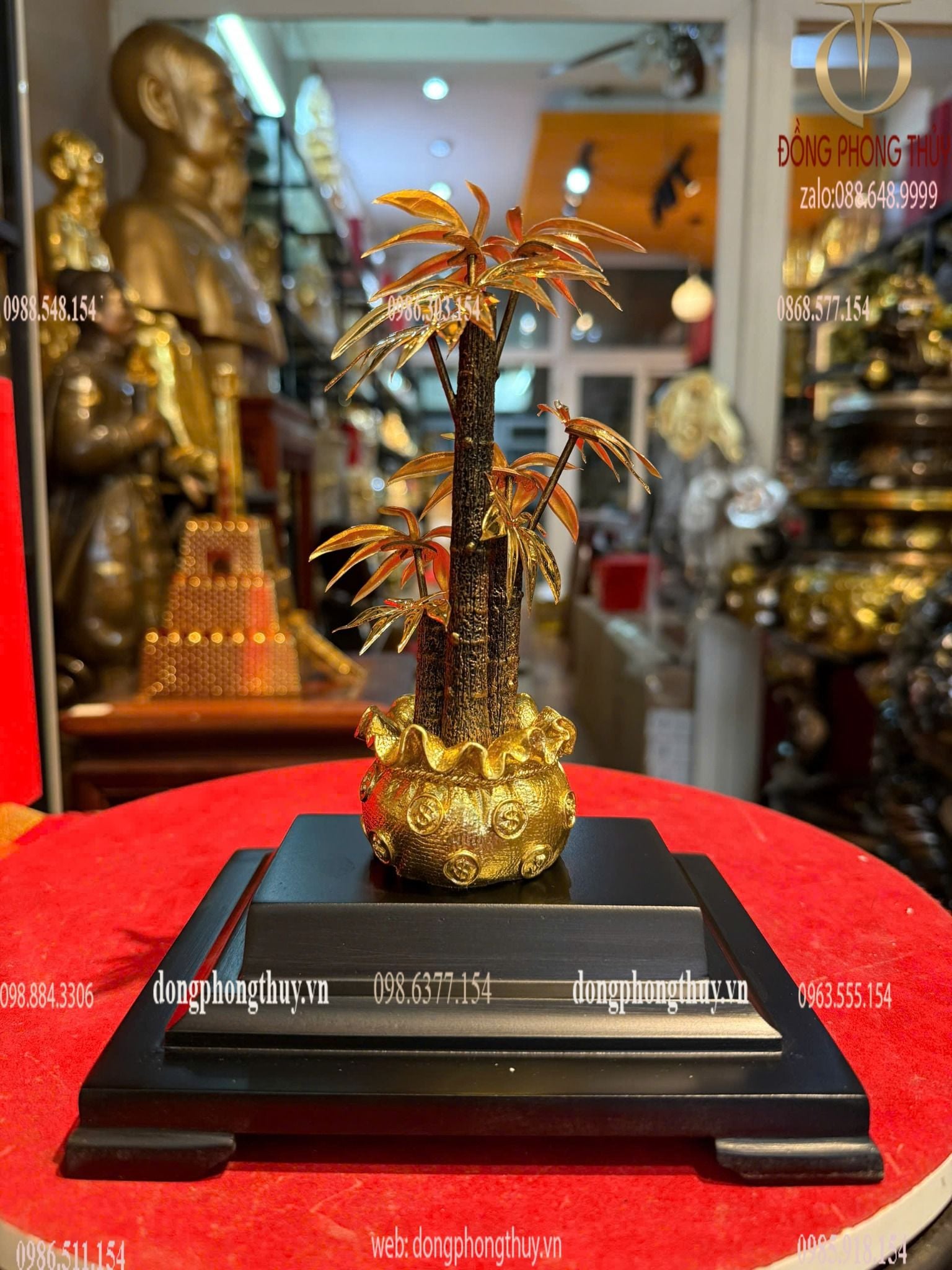 Hình ảnh sản phẩm