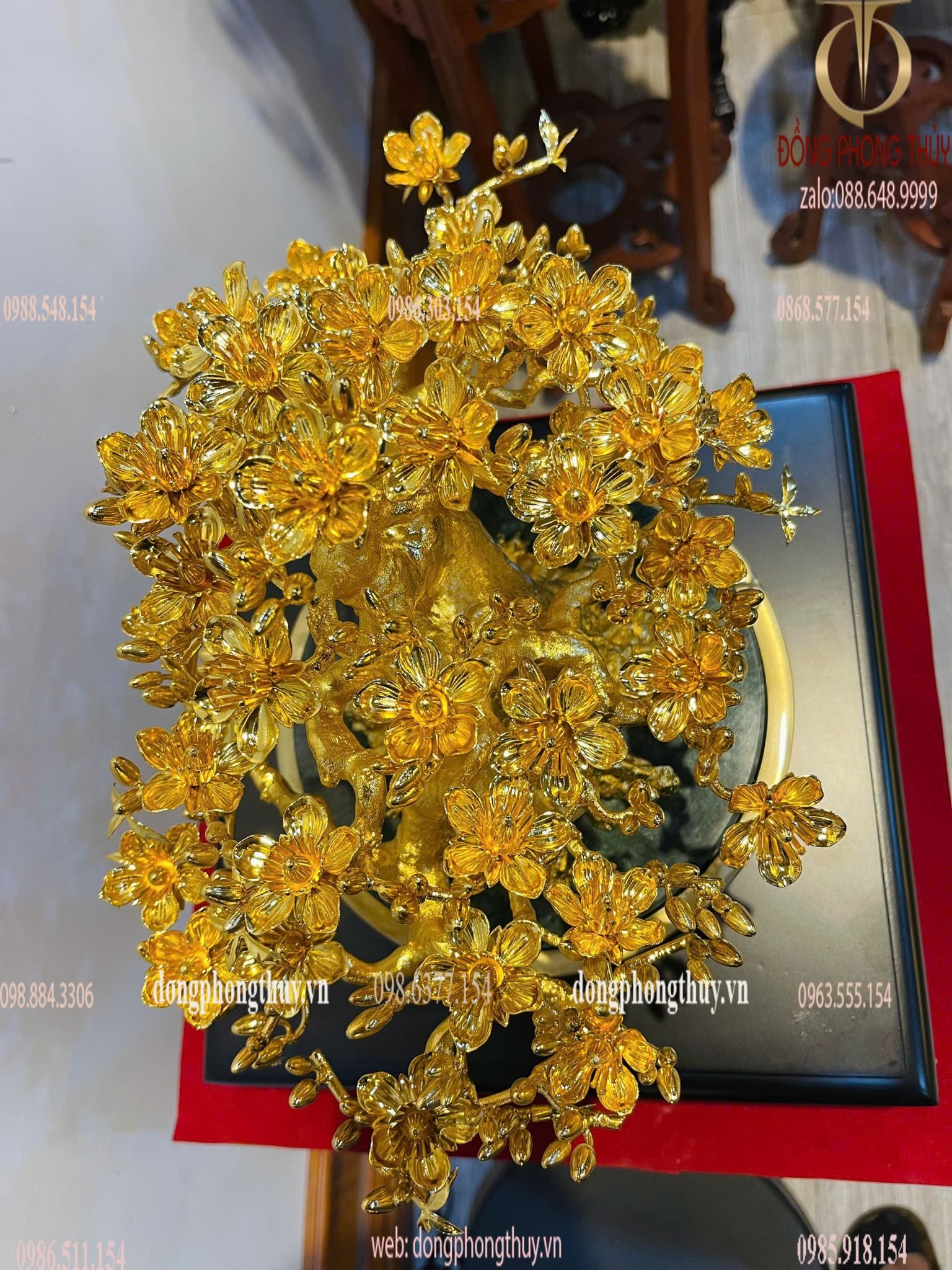 Hình ảnh sản phẩm