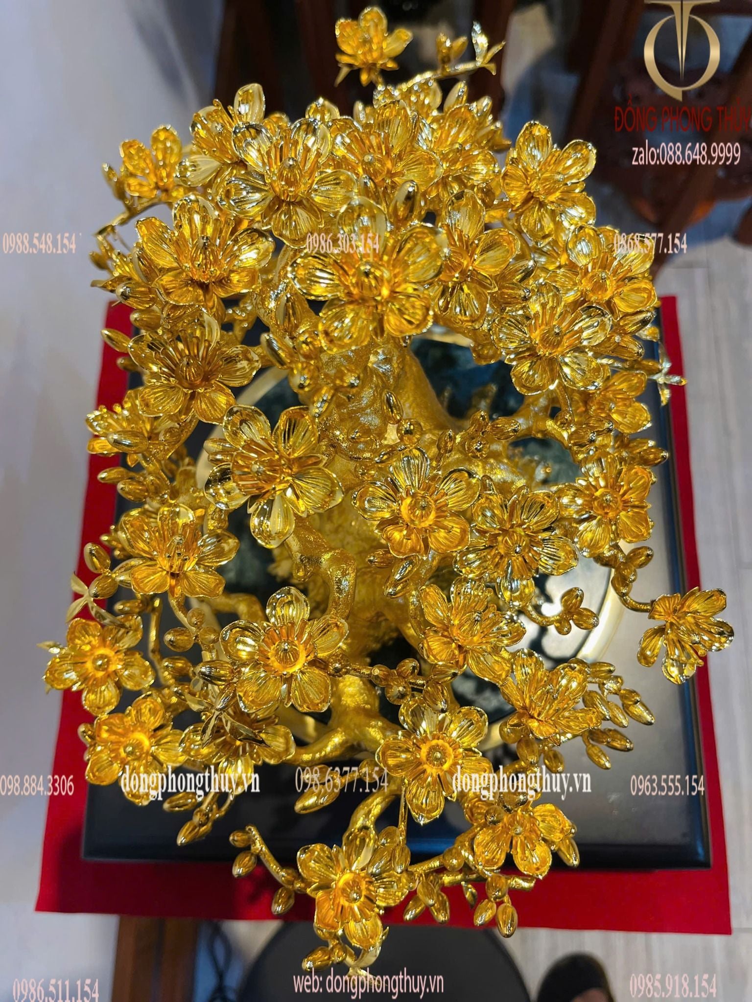 Hình ảnh sản phẩm