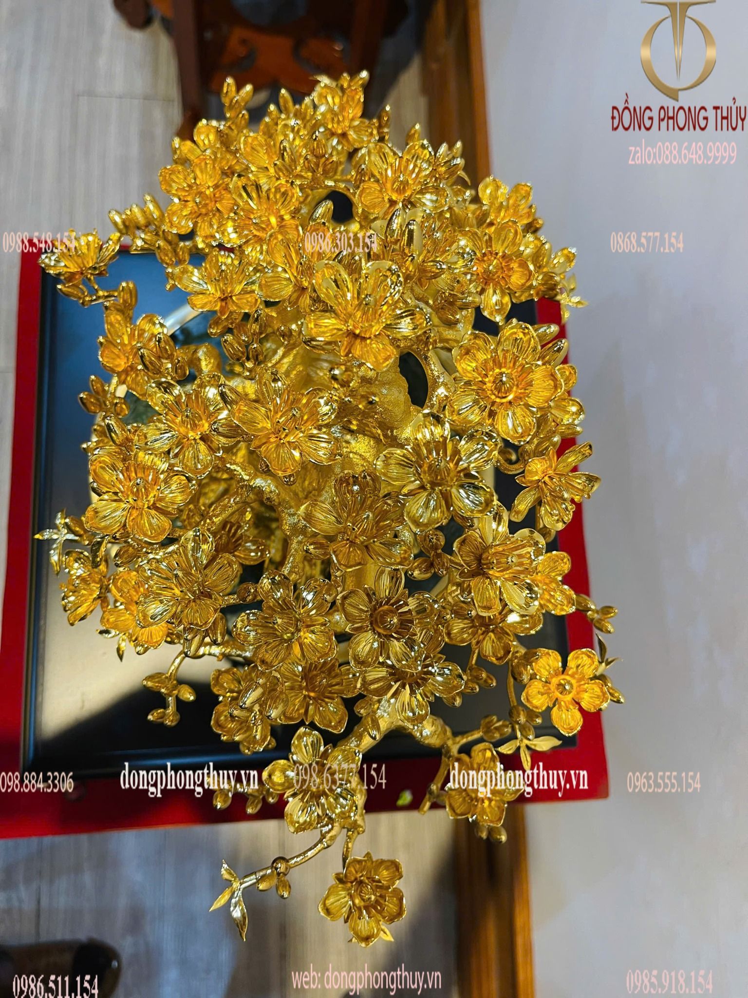 Hình ảnh sản phẩm