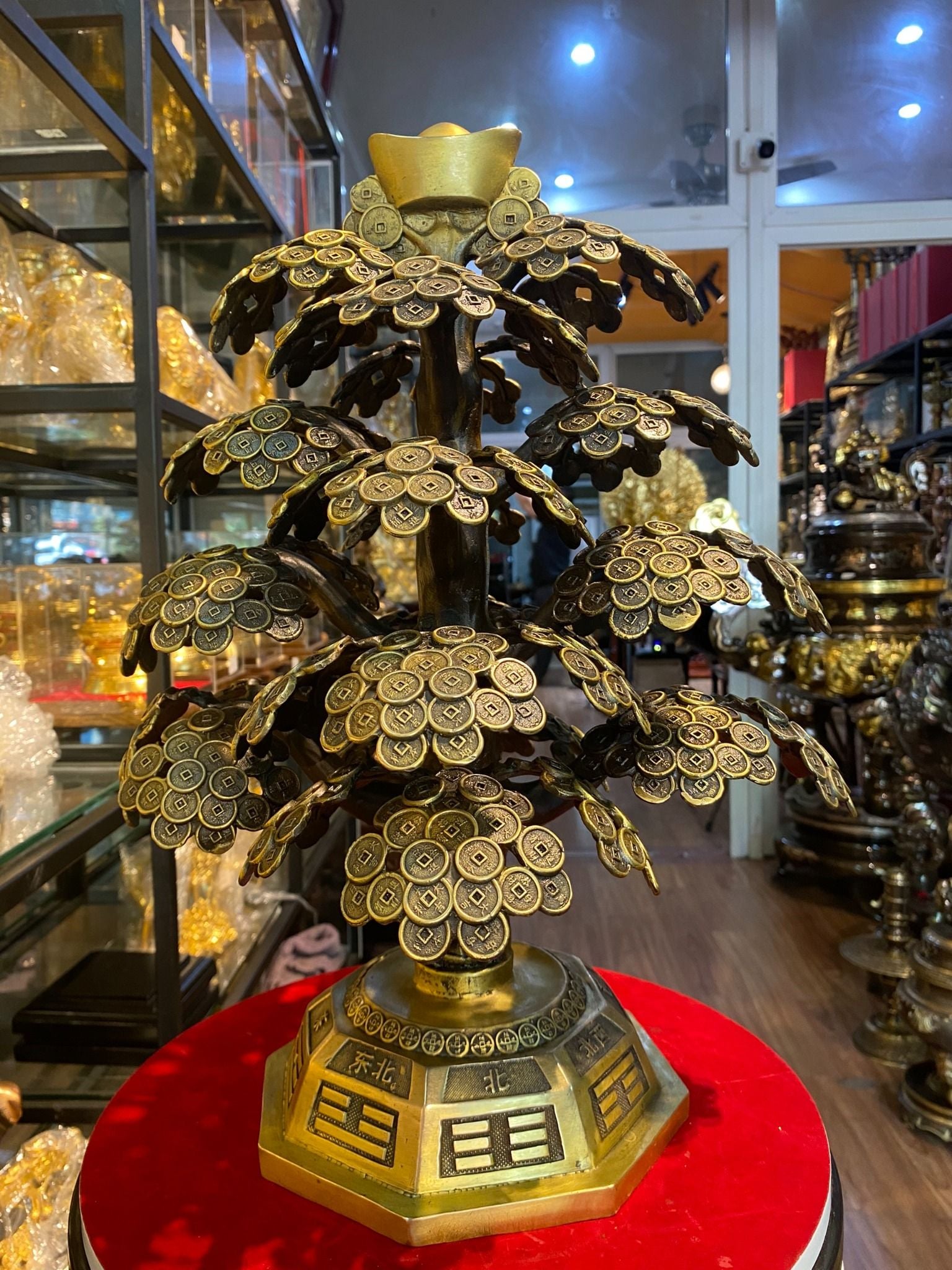 Cây Kim Ngân Mạ Vàng