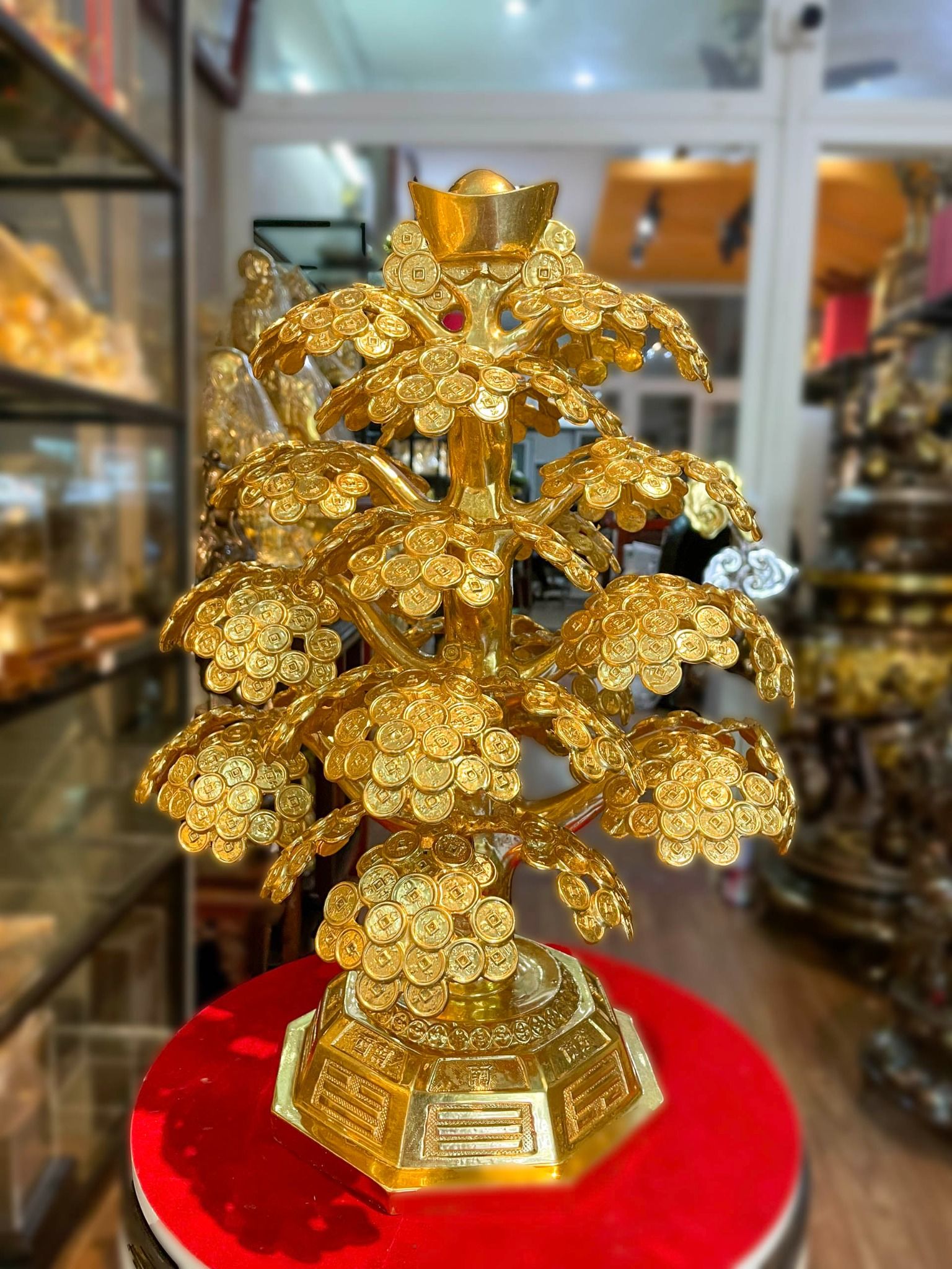 Cây Kim Ngân Mạ Vàng