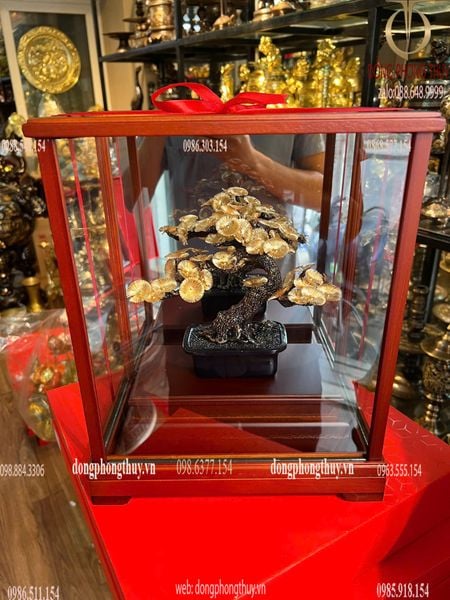 Cây tùng la hán bonsai mạ vàng 24k 17x29x35cm