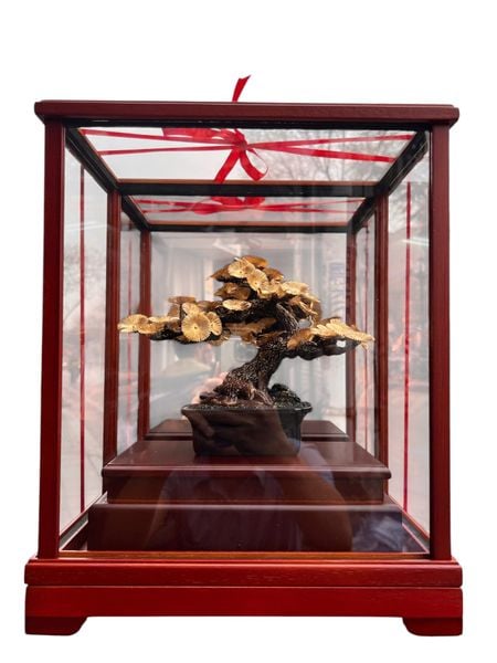 Cây tùng la hán bonsai mạ vàng 24k 17x29x35cm
