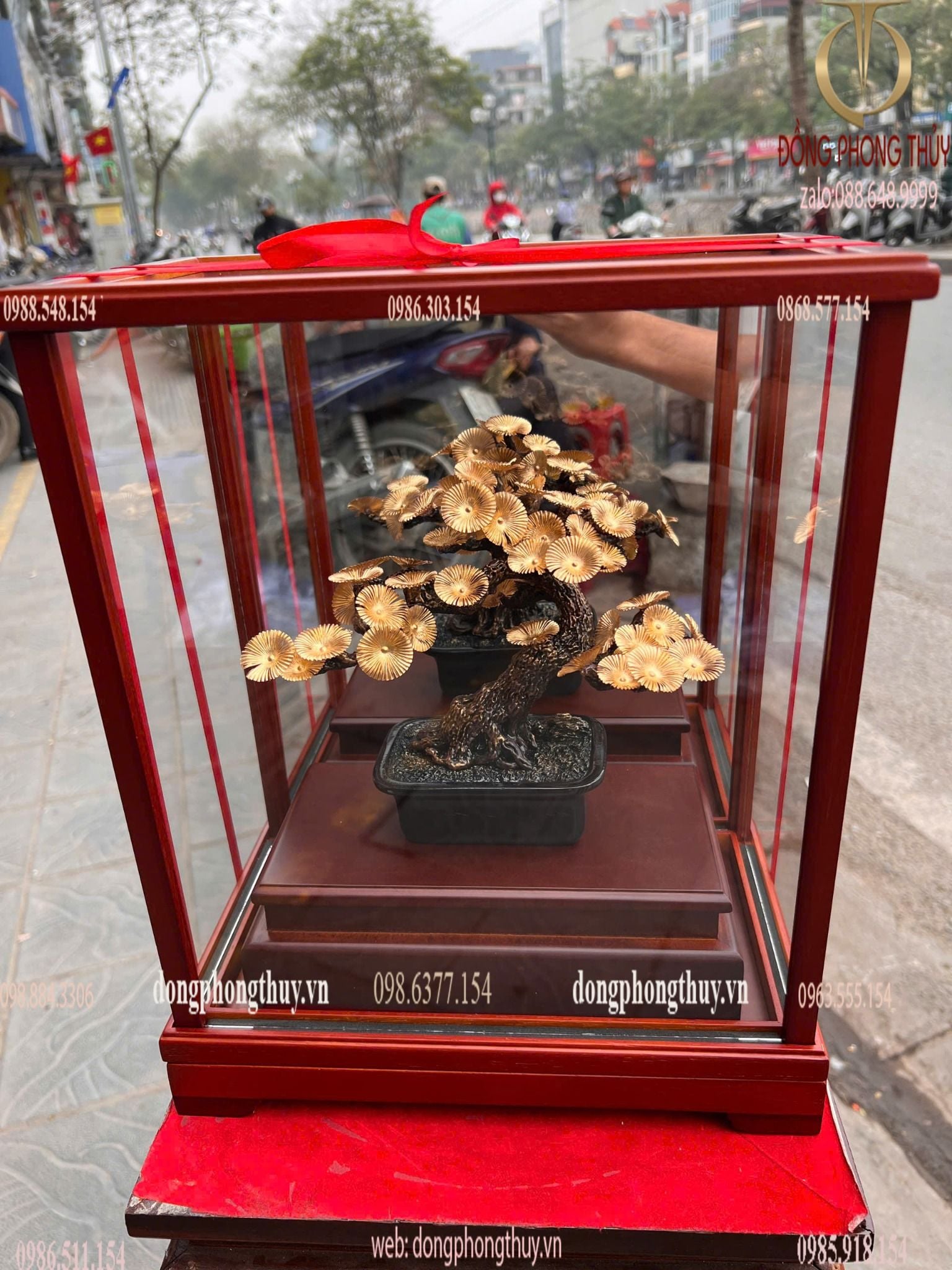 Cây tùng bonsai mạ vàng 24k 17x29x35cm