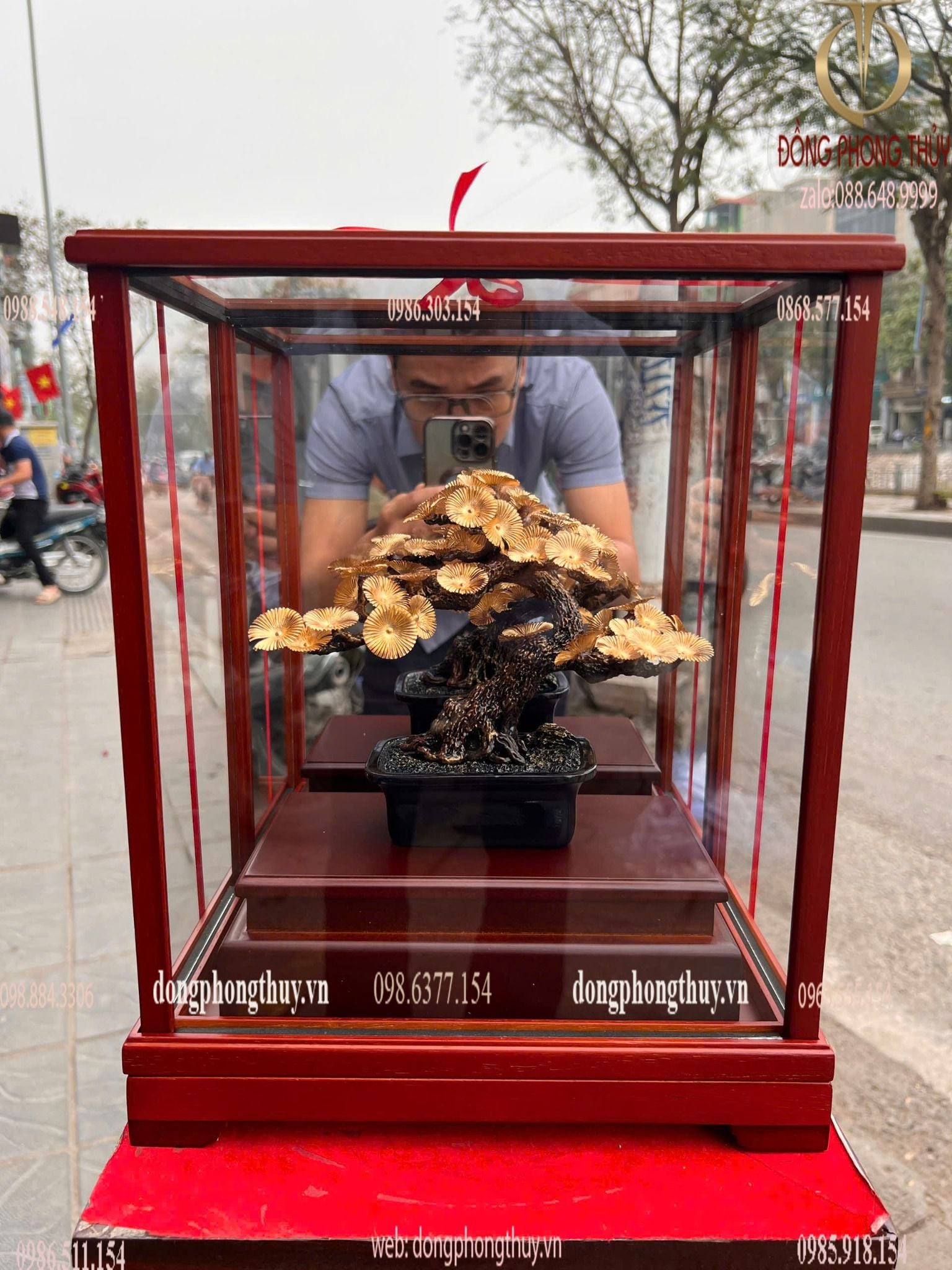 Cây tùng bonsai mạ vàng 24k 17x29x35cm