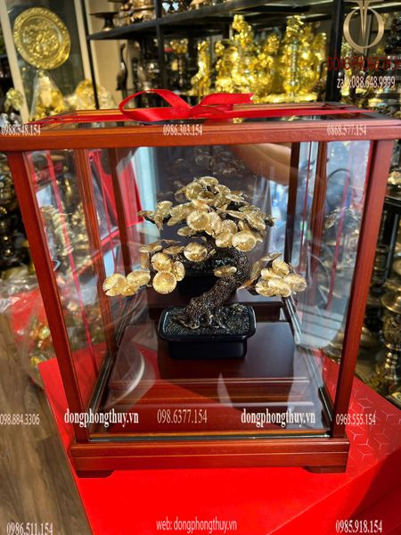 Cây tùng la hán bonsai mạ vàng 24k 17x29x35cm