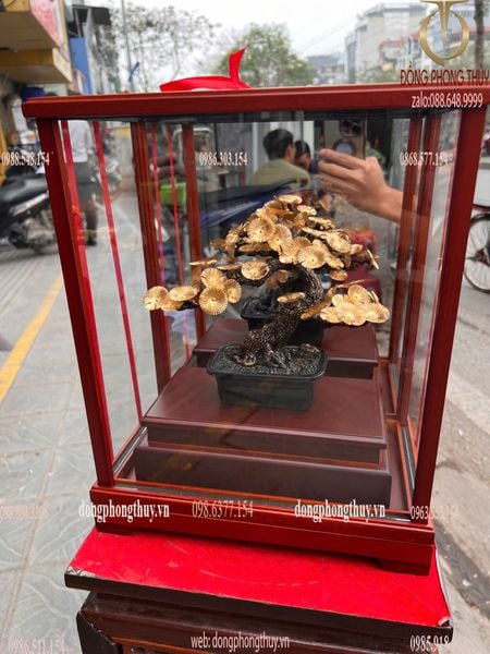 Cây tùng la hán bonsai mạ vàng 24k 17x29x35cm