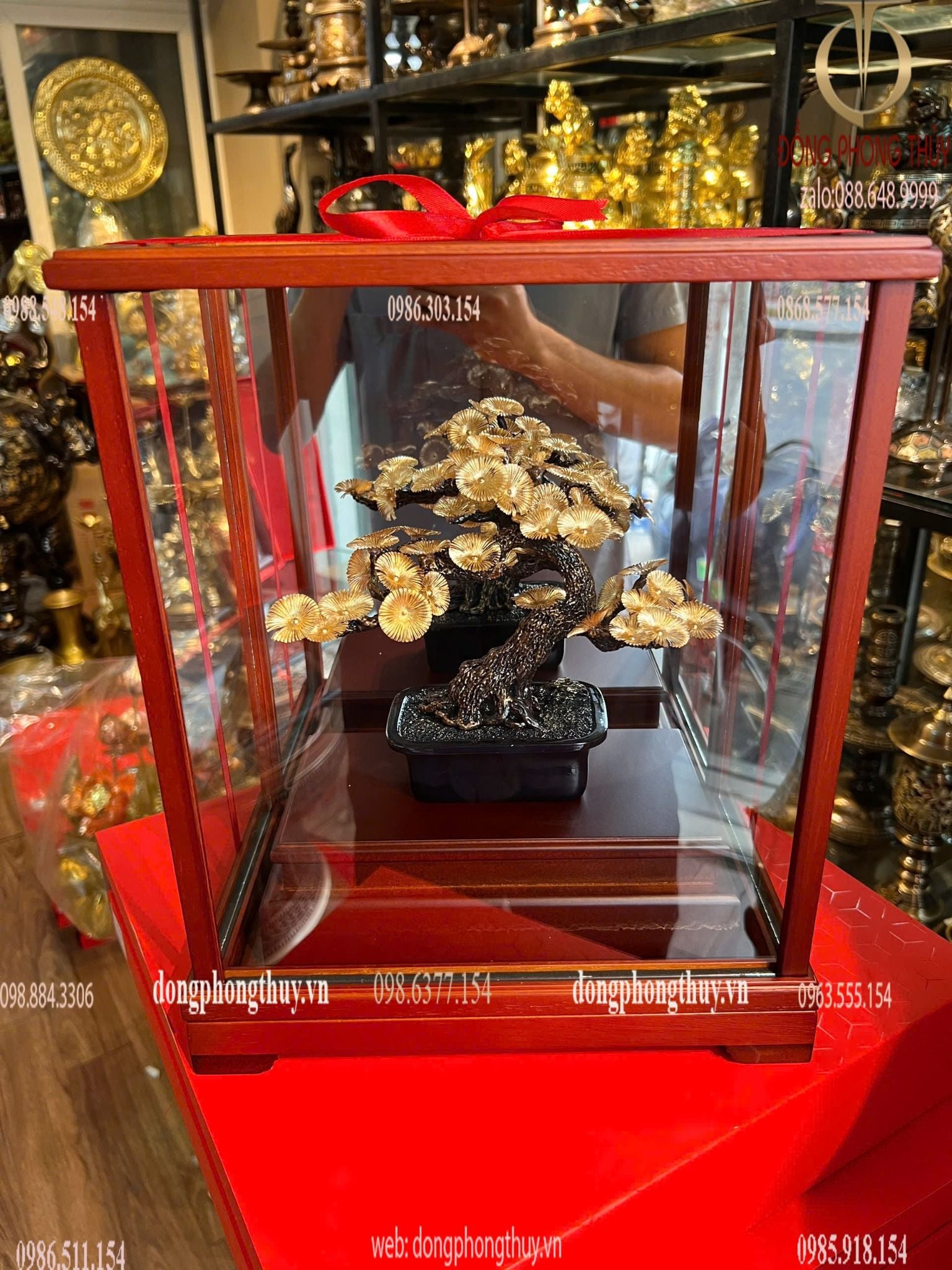 Hình ảnh sản phẩm