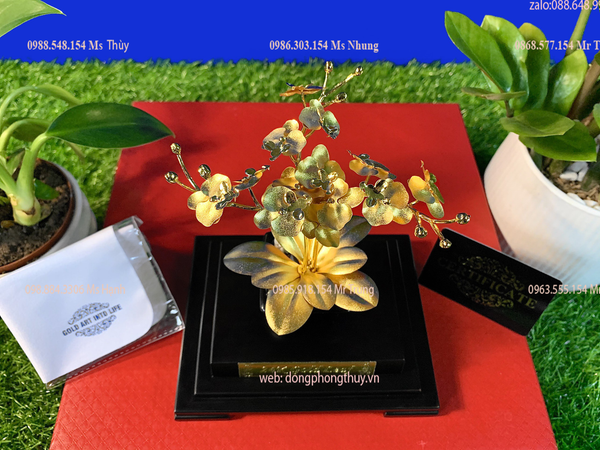Quà tặng doanh nghiệp-quà tặng mạ vàng-chậu lan mạ vàng 24k